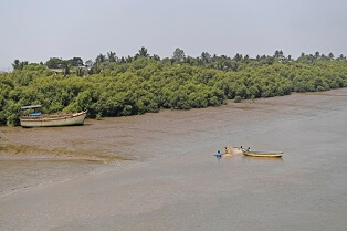 Naigaon Creek